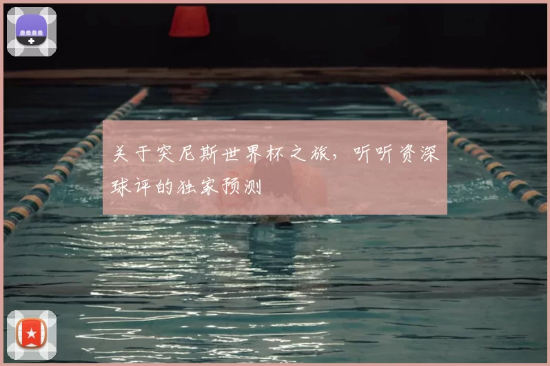 关于突尼斯世界杯之旅,听听资深球评的独家预测