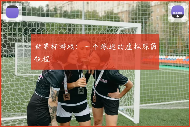 世界杯游戏：一个球迷的虚拟绿茵征程