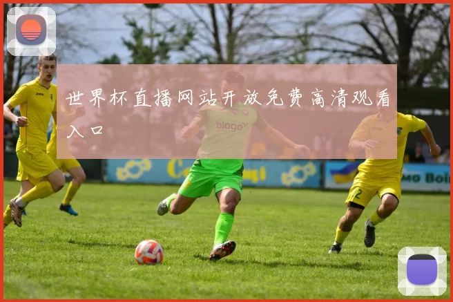 世界杯直播网站开放免费高清观看入口