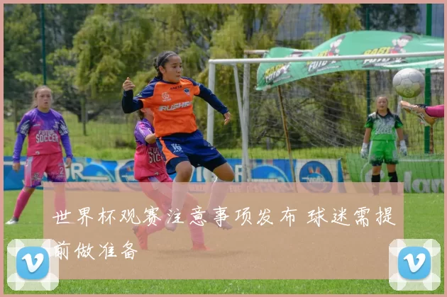 世界杯观赛注意事项发布 球迷需提前做准备