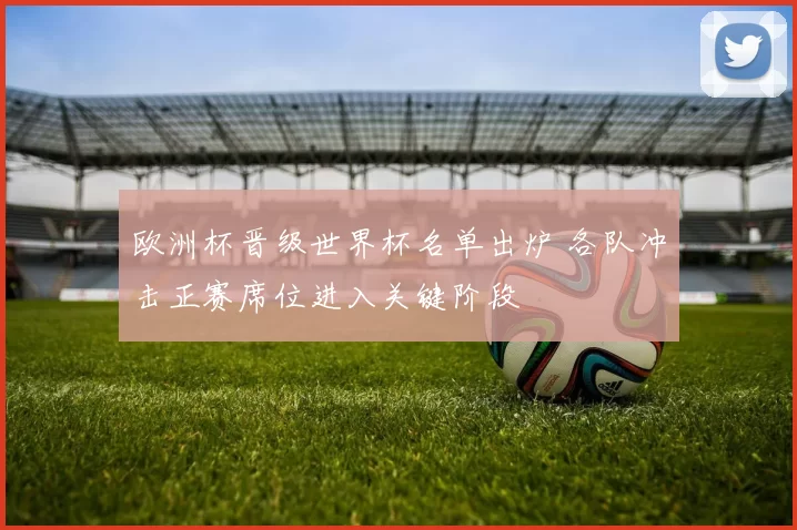 欧洲杯晋级世界杯名单出炉 各队冲击正赛席位进入关键阶段