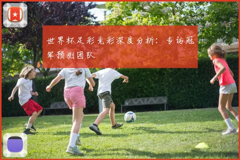 世界杯足彩竞彩深度分析:专访冠军预测团队