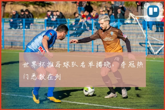 世界杯推荐球队名单揭晓，夺冠热门悉数在列
