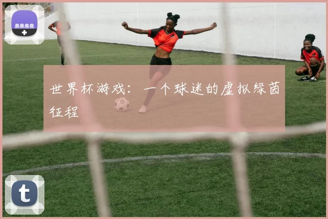 世界杯游戏:一个球迷的虚拟绿茵征程