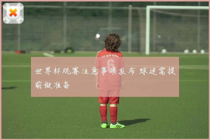 世界杯观赛注意事项发布 球迷需提前做准备