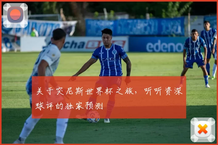 关于突尼斯世界杯之旅，听听资深球评的独家预测