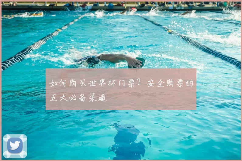 如何购买世界杯门票？安全购票的五大必备渠道