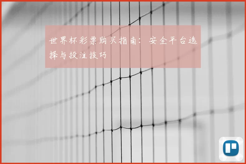 世界杯彩票购买指南：安全平台选择与投注技巧