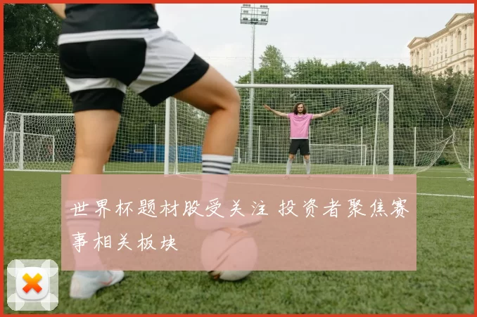 世界杯题材股受关注 投资者聚焦赛事相关板块
